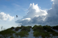 Storms along the beach