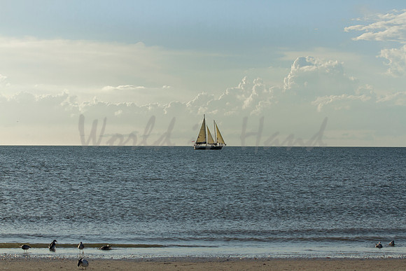 Ocean sailing