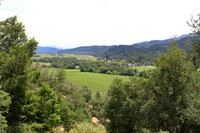 Wine country landscape
