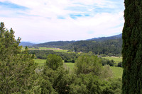 Wine country landscape