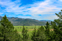 Wine country landscape