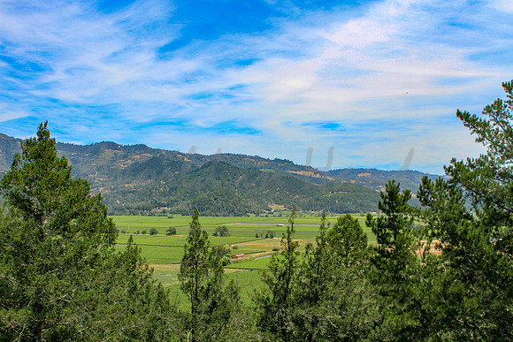 Wine country landscape