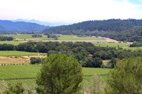 Wine country landscape