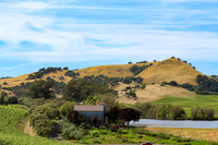 Wine country landscape