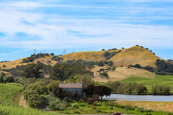 Wine country landscape