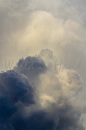 Heavenly skies
