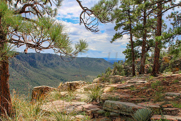 Western mountain landscape