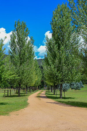 Western landscape