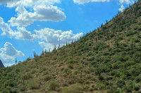 Western mountain landscape