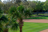 Baseball infield and outfield