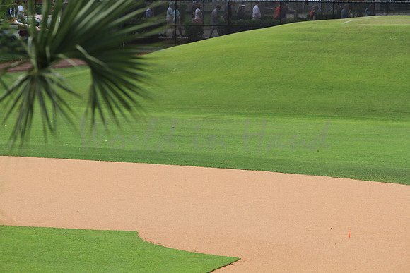 Baseball infield and outfield