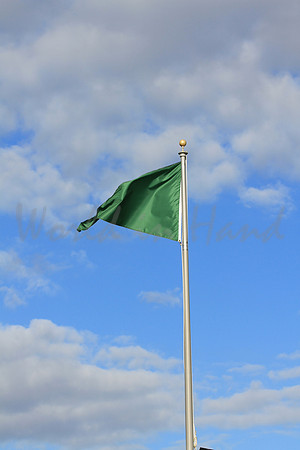 Stadium flags