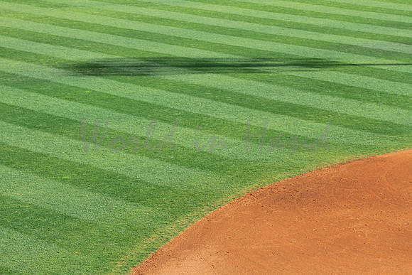 Baseball infield and outfield