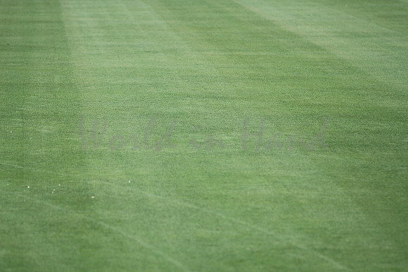 Fresh cut stadium grass