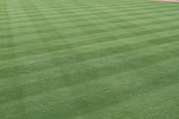 Fresh cut stadium grass