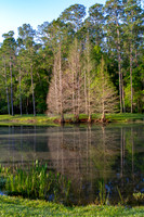 Reflections on water