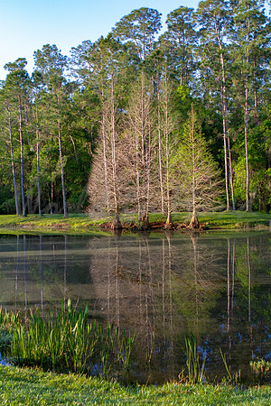 Reflections on water