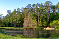 Reflections on water