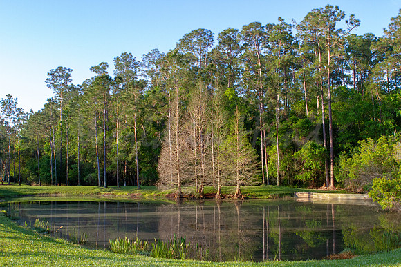 Reflections on water