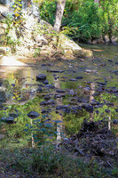 Reflections on water