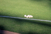 Baseball infield and outfield