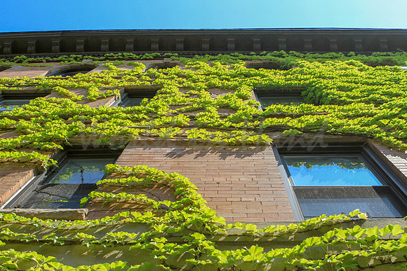 brick buildings and structures