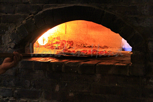 coal fired pizza oven