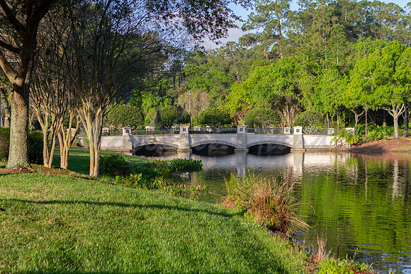 Water Reflection Theme