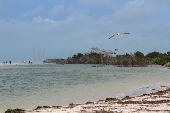 Beach and Boating Theme