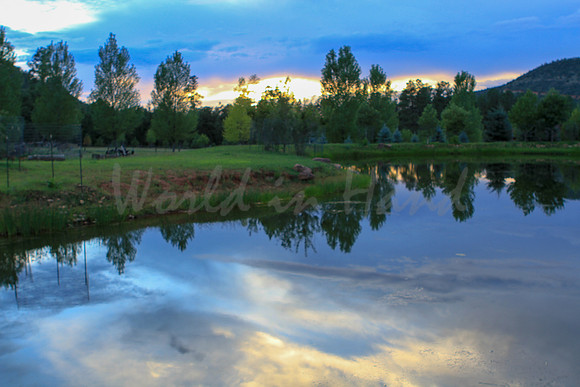Water Reflection Theme