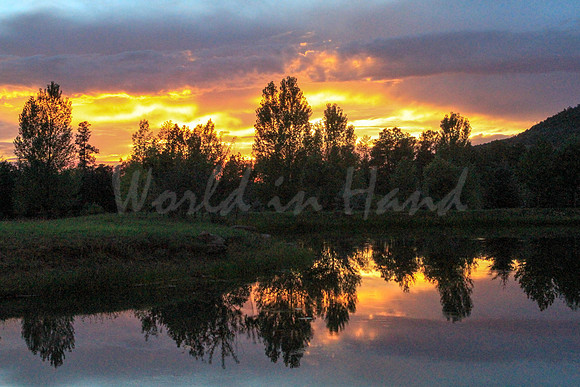 Water Reflection Theme