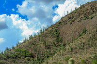 Western Landscape Theme