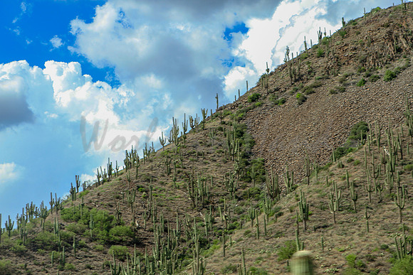 Western Landscape Theme