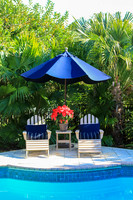 Tropical Holiday