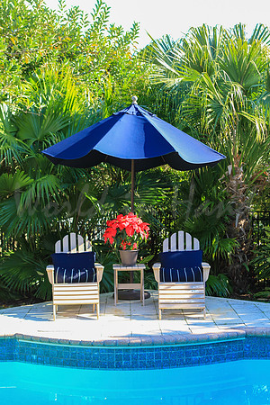 Tropical Holiday